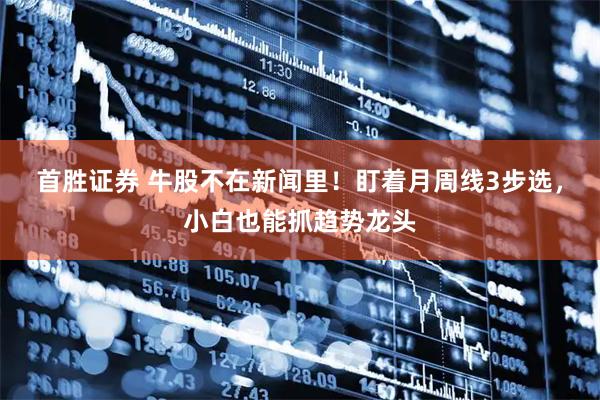 首胜证券 牛股不在新闻里！盯着月周线3步选，小白也能抓趋势龙头