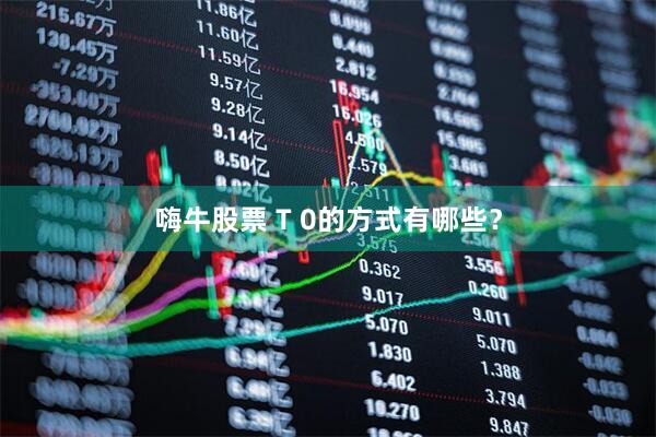 嗨牛股票 T 0的方式有哪些？