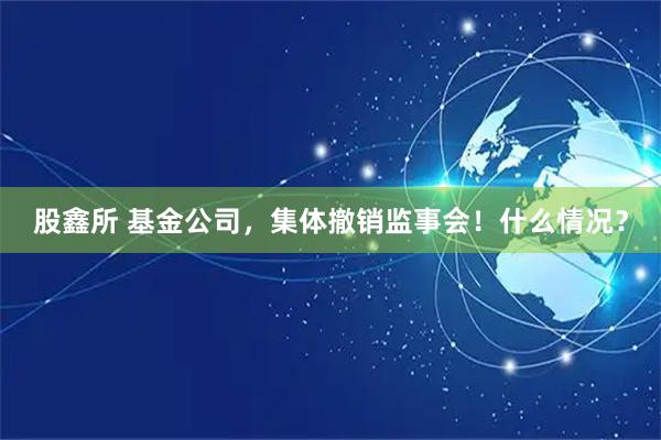 股鑫所 基金公司，集体撤销监事会！什么情况？