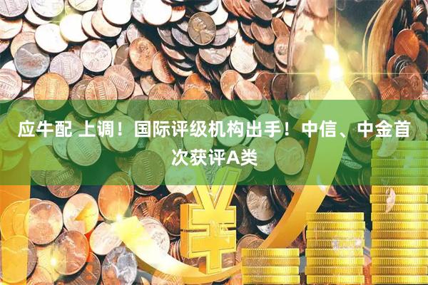 应牛配 上调!国际评级机构出手!中信、中金首次获评A类