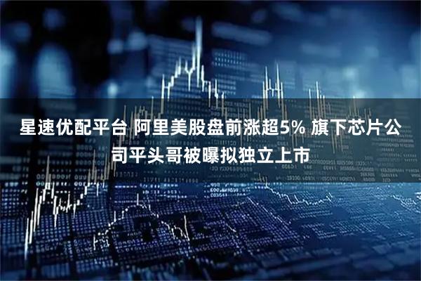 星速优配平台 阿里美股盘前涨超5% 旗下芯片公司平头哥被曝拟独立上市